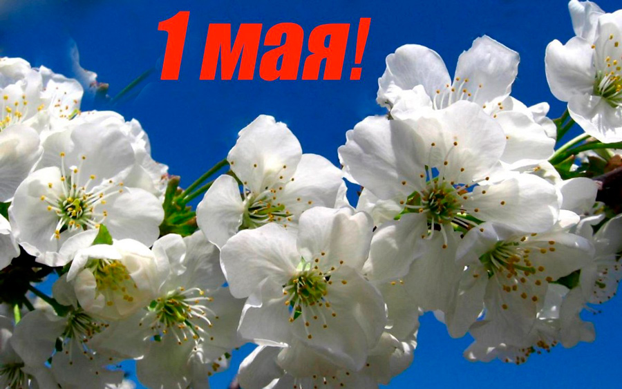 Мнением о важности и нужности такого праздника, как 1 Мая, поделились передовики