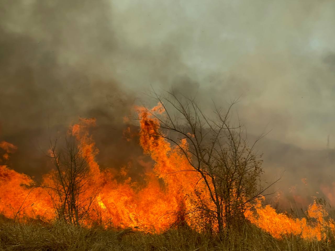 Четыре лесных пожара потушены за сутки в Беларуси