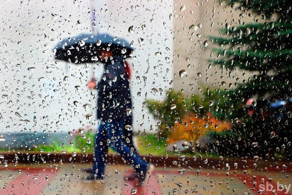 Сильные дожди и грозы ожидаются в Беларуси 26 апреля