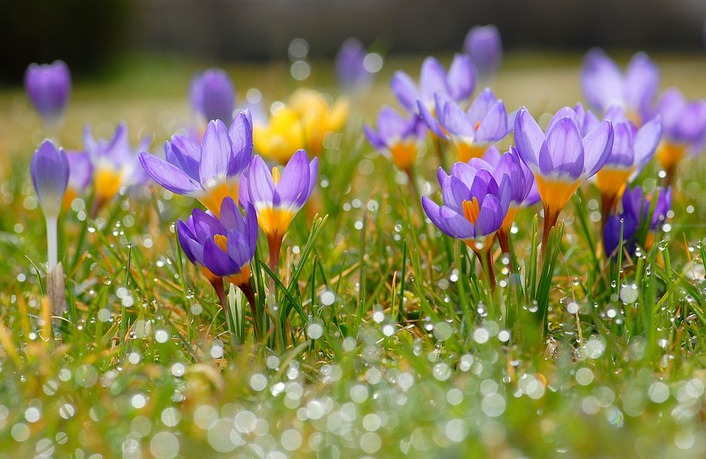 Народные приметы на 12 апреля 2023 года: что нельзя делать в этот день