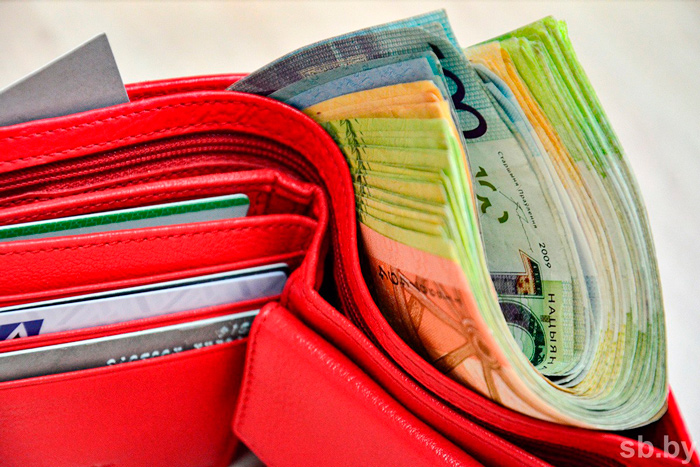 Вступил в силу Указ «О мерах по обеспечению своевременной выплаты заработной платы»