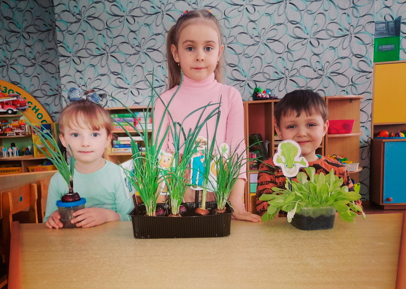 Посадили огород, посмотрите, что растет! В ГУО «Детский сад № 7 г. Круглое» организовали огород на подоконнике