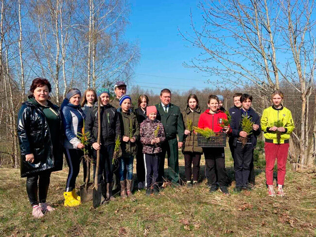Учащиеся Кручанской базовой школы присоединились к акции «Неделя леса»