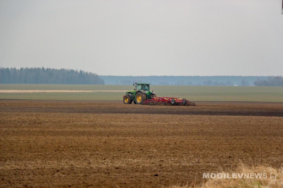 В Могилевской области общая площадь ярового сева составит 341 692 гектара