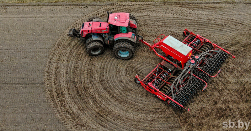 В Беларуси посеяли почти половину ранних зерновых