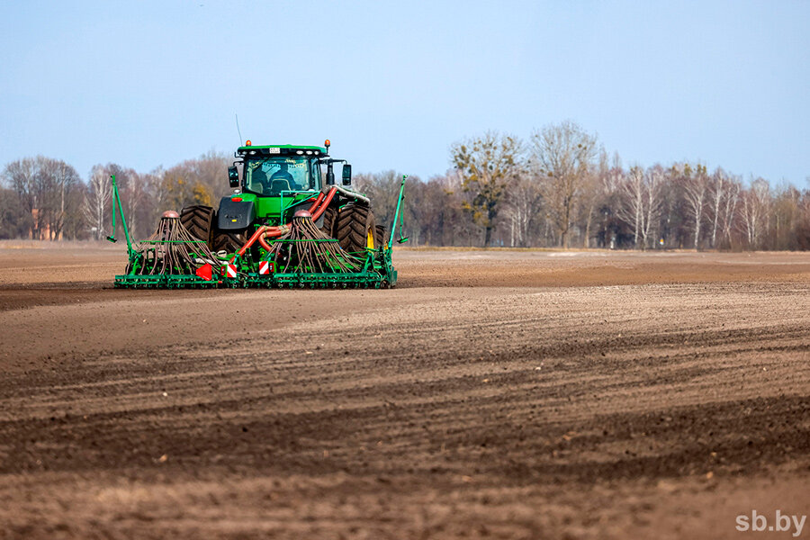 В Беларуси начался сев ярового рапса, свеклы, картофеля и кукурузы