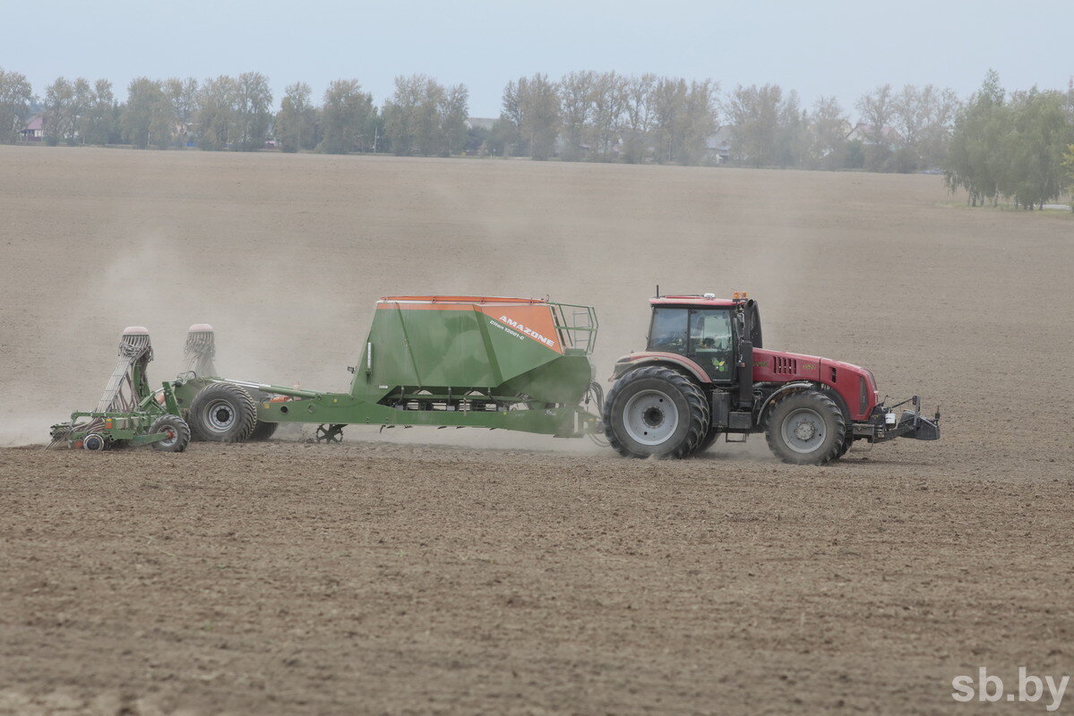 В Беларуси посеяно 25 процентов ранних зерновых