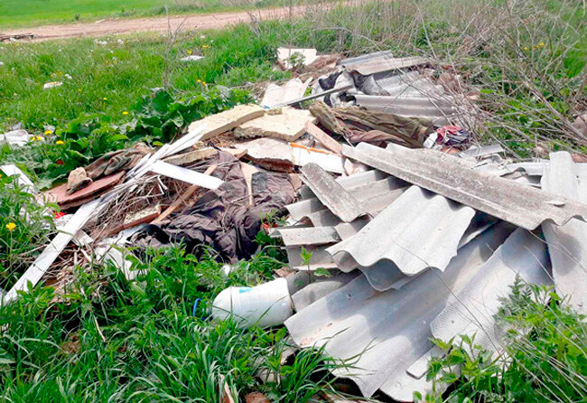 Разве сложно не сорить?