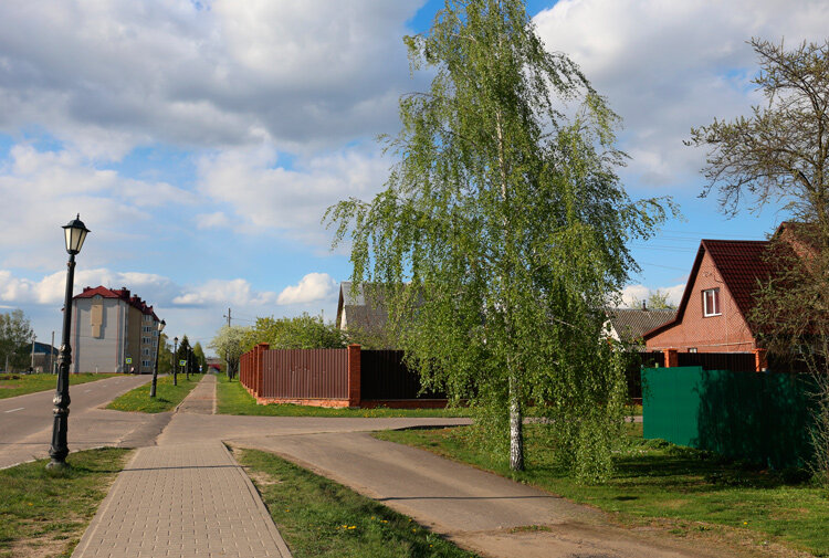 Дожди, туман и до +27°С будет сегодня в Беларуси