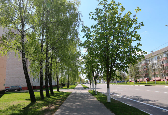 До +24°С и дожди ожидаются сегодня в Беларуси