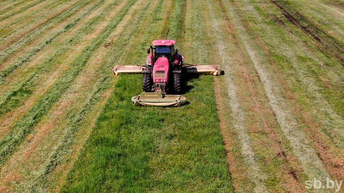 В Беларуси скошено 7 процентов трав