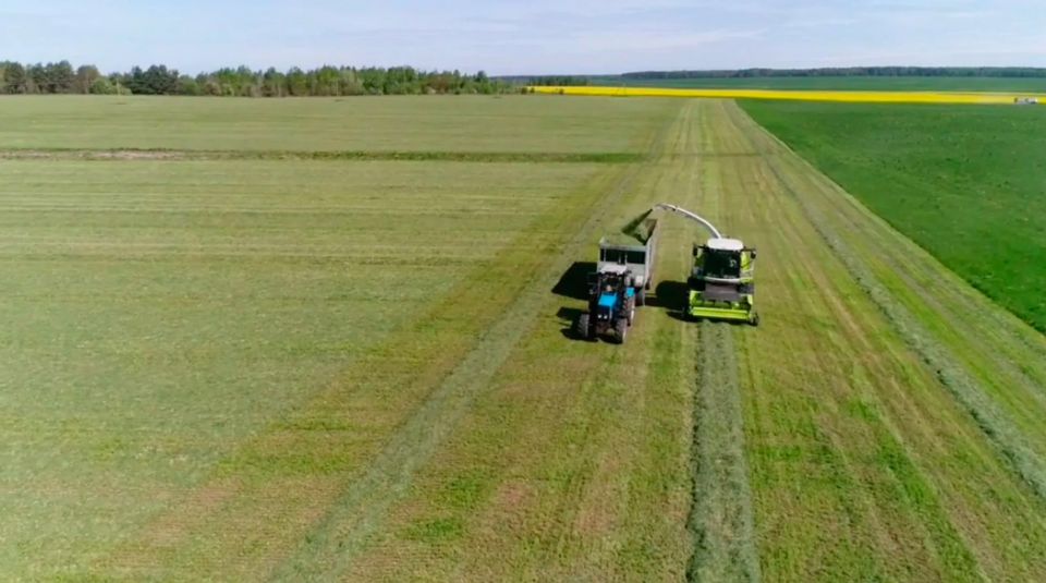 В Беларуси скошено более 75% площадей трав