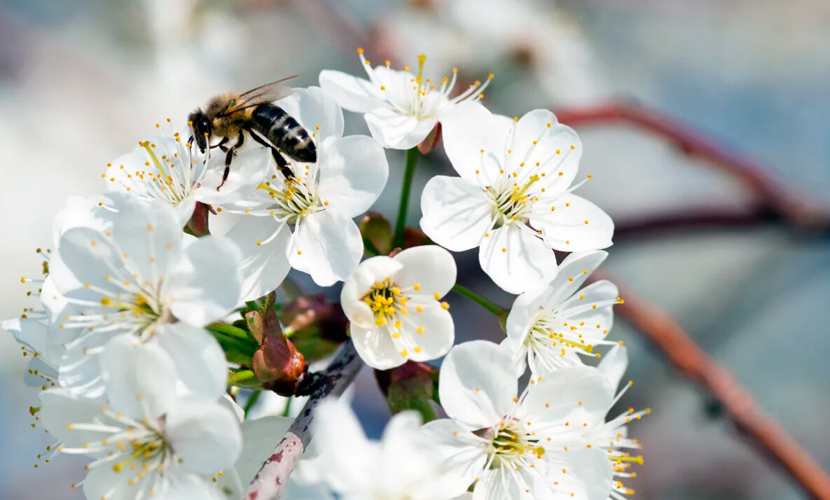 Народные приметы на 17 мая 2023 года: что нельзя делать в этот день