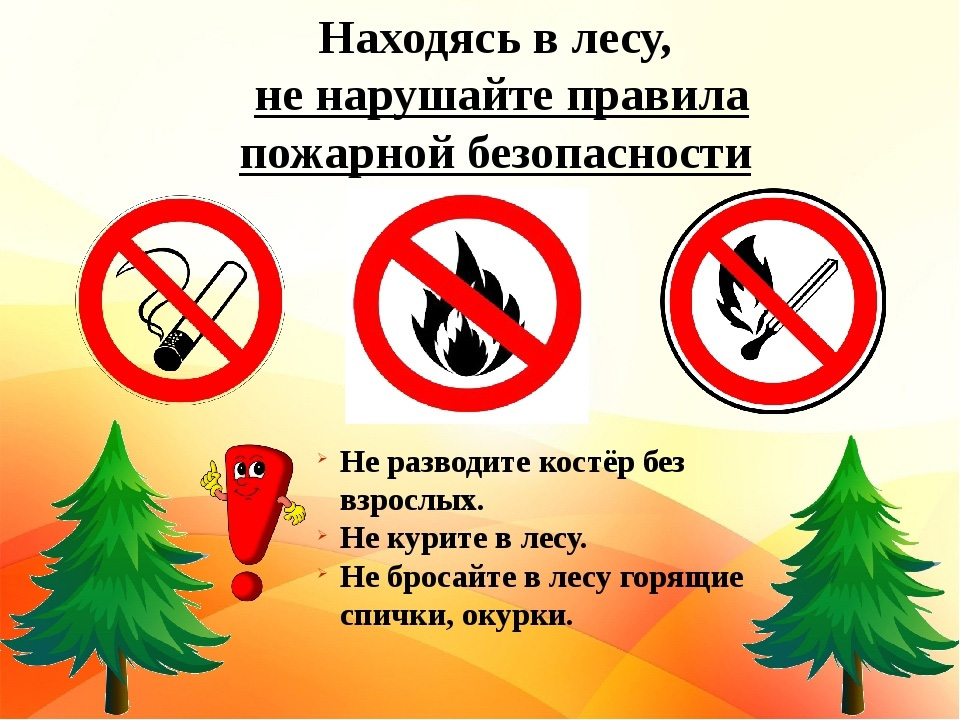О мерах пожарной безопасности в лесу предупреждает Белыничский лесхоз