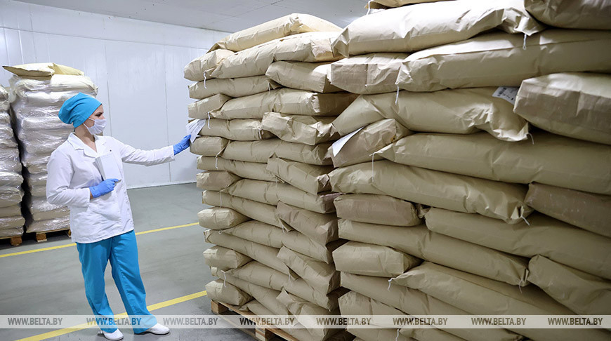 В Беларуси планируют создать импортозамещающее производство кальцинированной соды