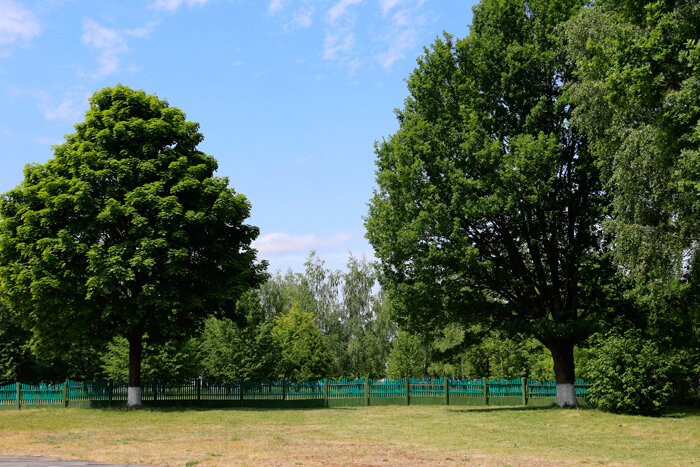 Прогноз погоды на 8 июня: преимущественно без осадков и до +28 °С
