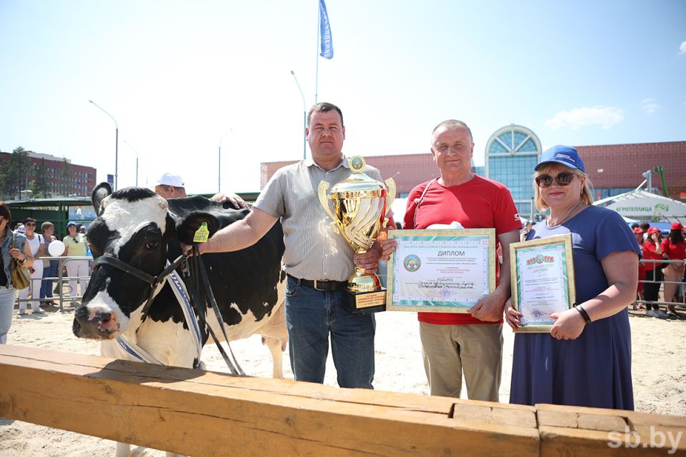 Лучшей коровой страны на «Белагро-2023» стала Родина