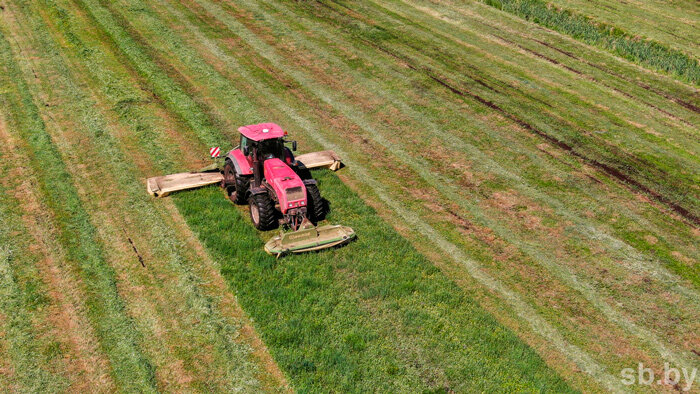 В Беларуси скошен 81 процент трав