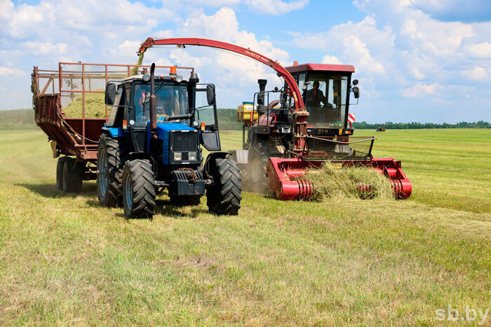 Лидерами зеленой жатвы на Могилевщине стали краснопольские, кричевские и чериковские растениеводы