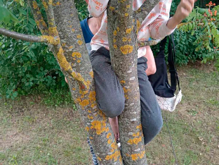 В Круглом ребенок застрял в дереве: на помощь пришли спасатели