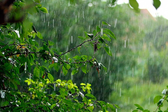 МЧС предупредило белорусов о факторах опасности при сильных дождях, ветре и грозах