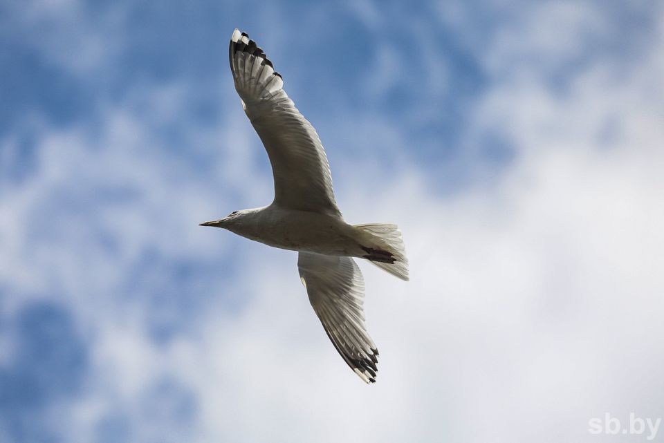 Погода 7 июля: кратковременные дожди, грозы и до +27 °С