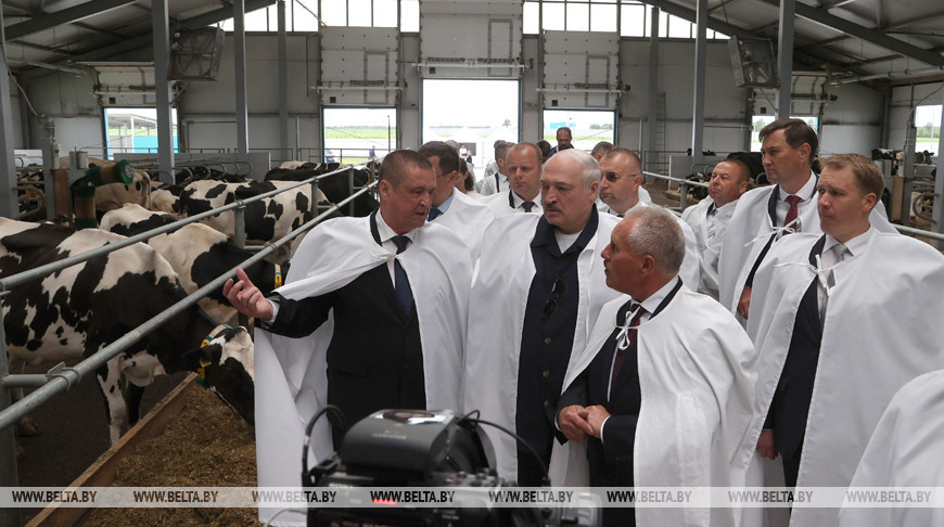 Лукашенко: наша задача — за пятилетку уйти от диких ферм и построить технологичные комплексы