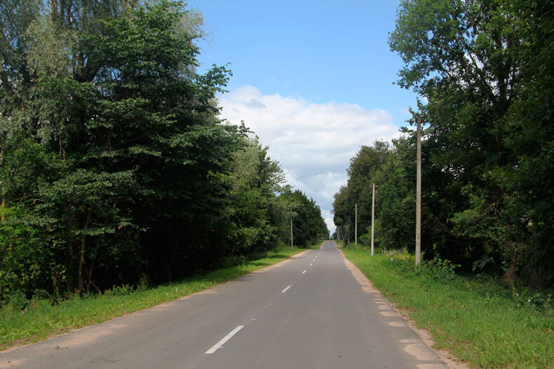 Погода 28 июля: местами грозы, сильные дожди и до +25 °С