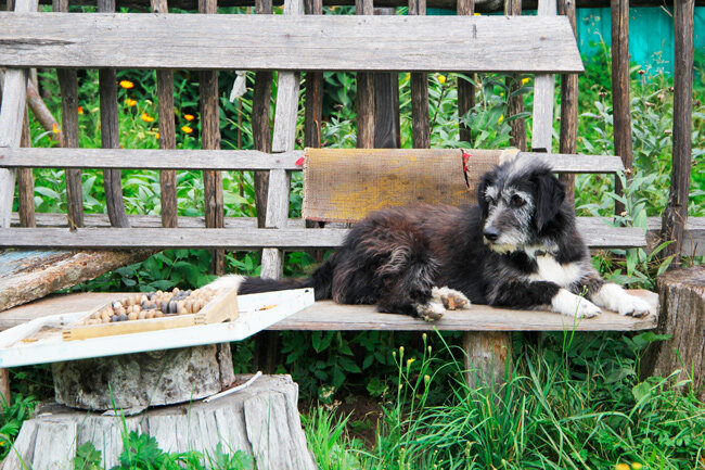 Кратковременные дожди и до +27°С ожидается в Беларуси 20 июля