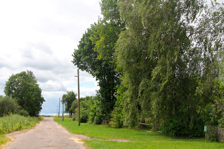 Погода на 24 июля: дожди и грозы в Беларуси