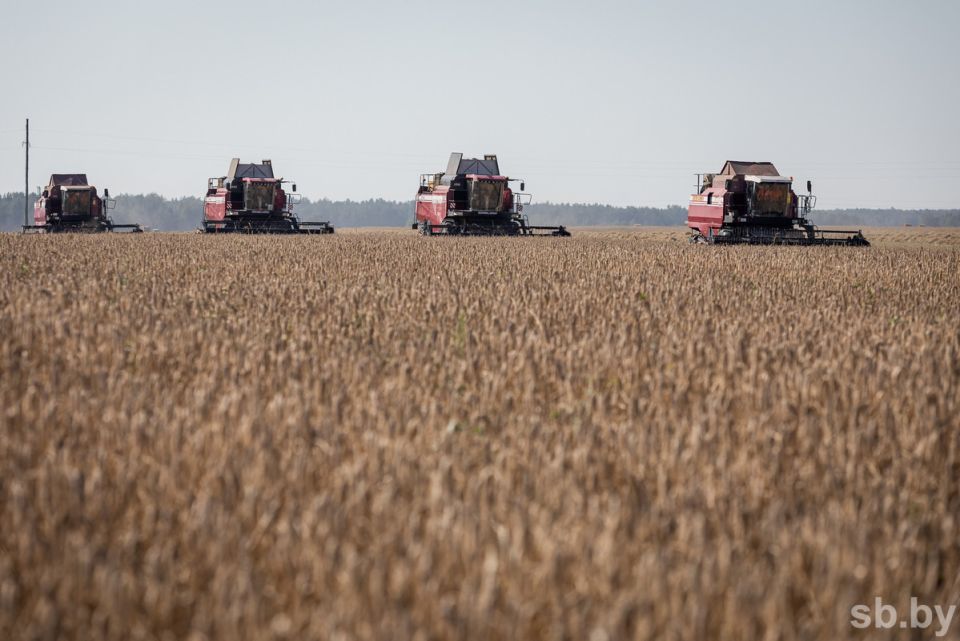 600 новых зерноуборочных комбайнов будет поставлено к 10 августа в хозяйства для уборки урожая