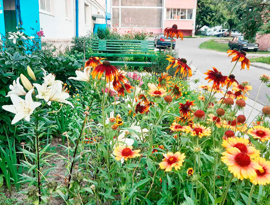 Наведем порядок всем двором