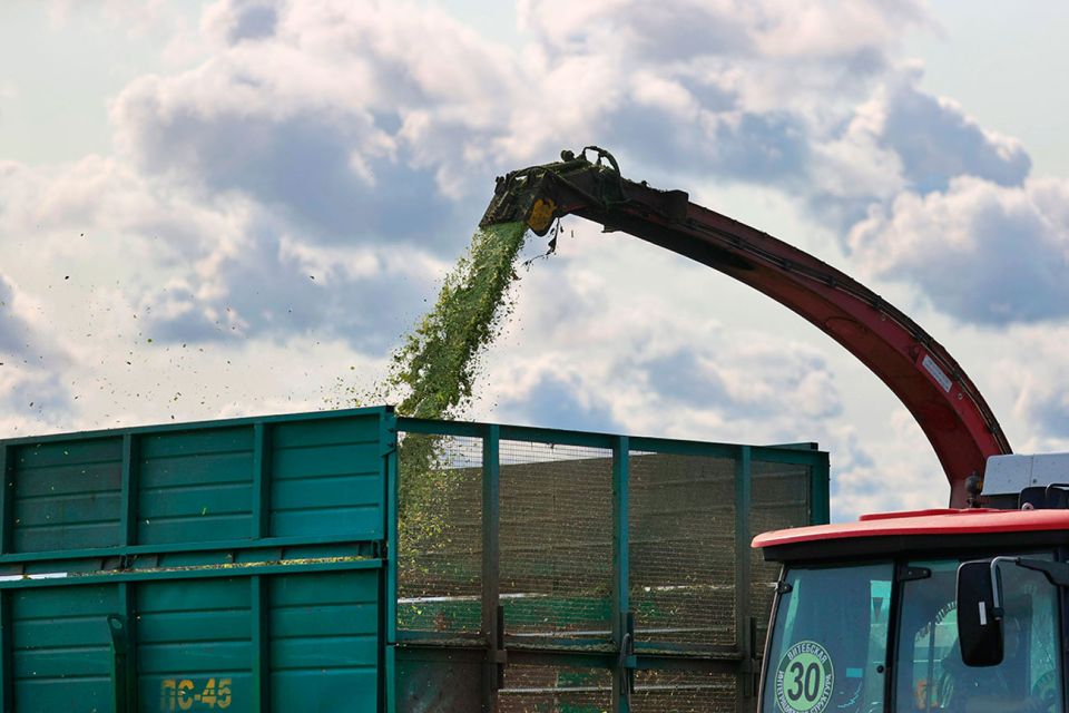 В Минсельхозпроде рассказали о заготовке кормов для животноводства