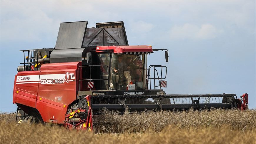 В Беларуси завершается уборка озимого рапса