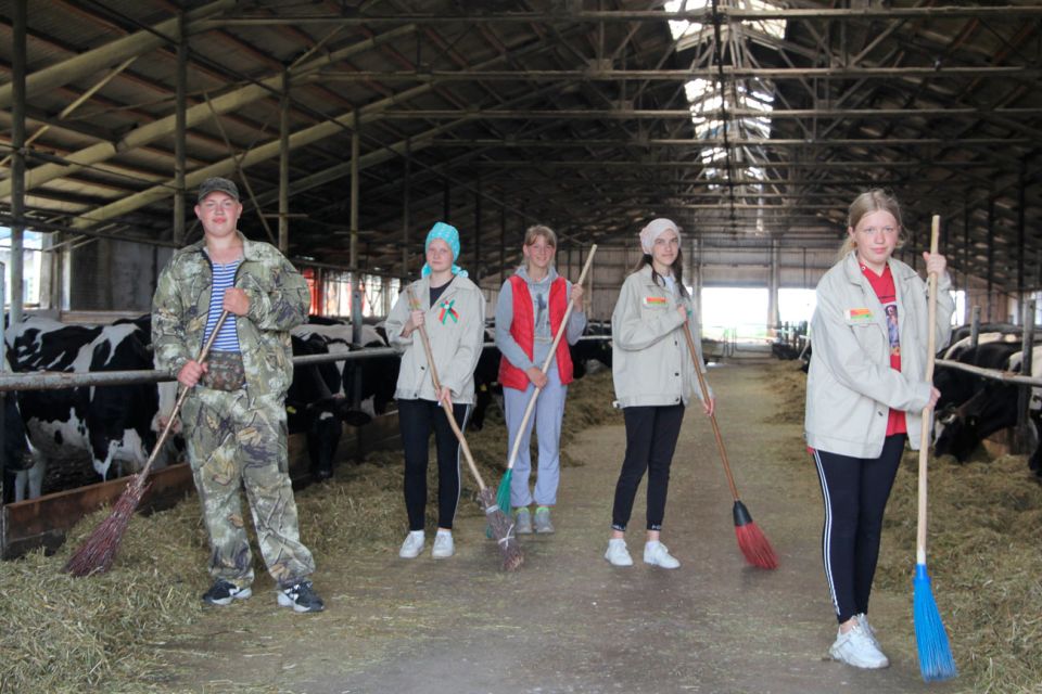 Молодежь Круглянщины с готовностью выполняет самые различные работы в хозяйствах
