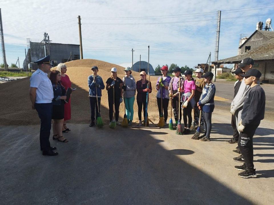 Провести лето с пользой