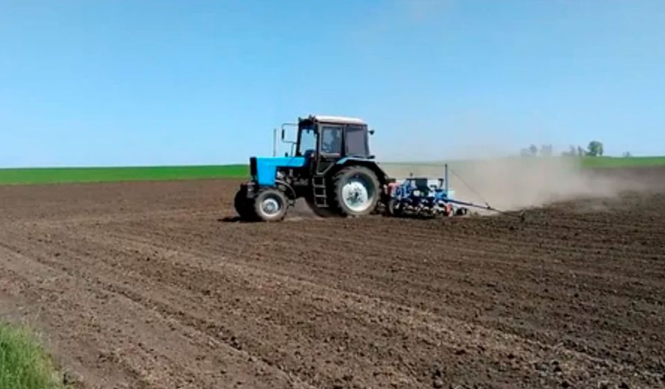Скорыми темпами ведется в Могилевской области сев озимого рапса