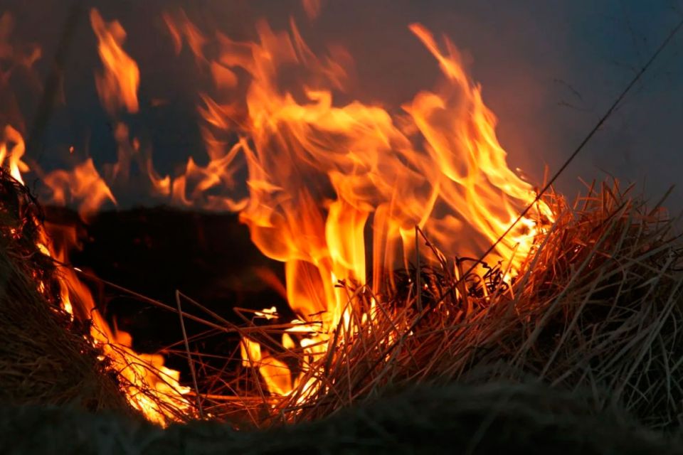 Эксперты-пожаротехники рассказали, как предотвратить самовозгорание сена