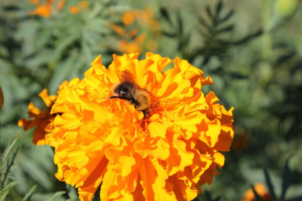 Какой сегодня праздник: 5 сентября 2023 года