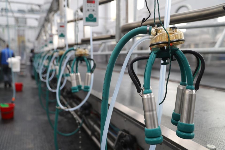 Минсельхозпрод в 2023 году планирует получить более 7,9 млн тонн молока