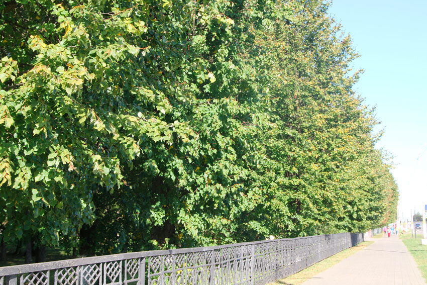 Какой сегодня праздник: 21 сентября 2023 года - Круглое NEWS