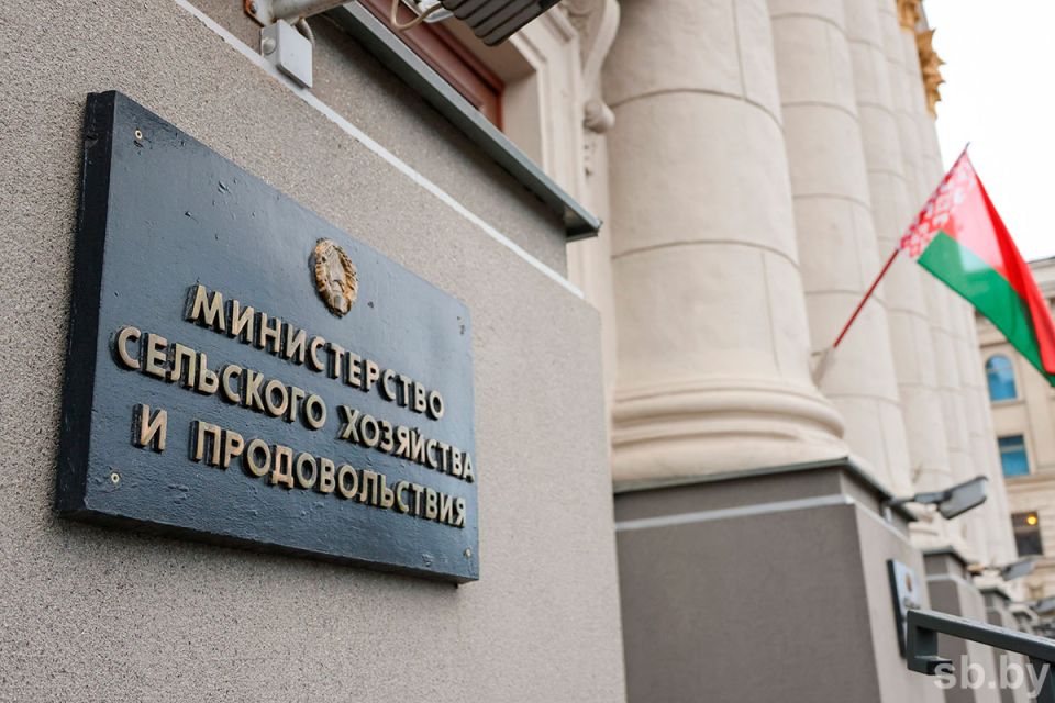 Минсельхозпрод планирует преодолеть сезонность в производстве огурцов и томатов