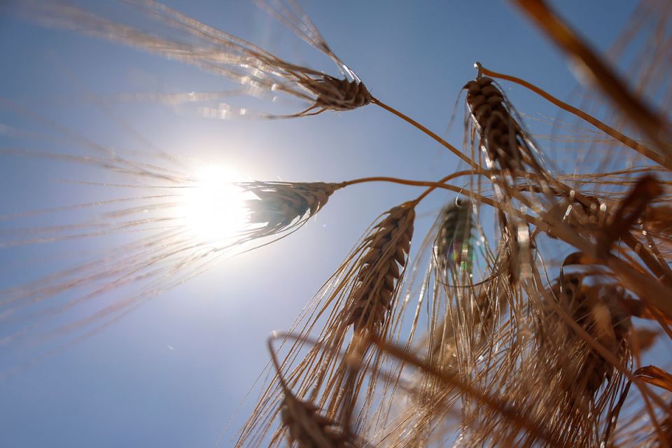 В Белгидромете рассказали, как изменение климата влияет на экономику Беларуси