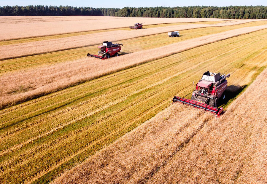 Аграрии Беларуси намолотили почти 8,9 млн тонн зерна