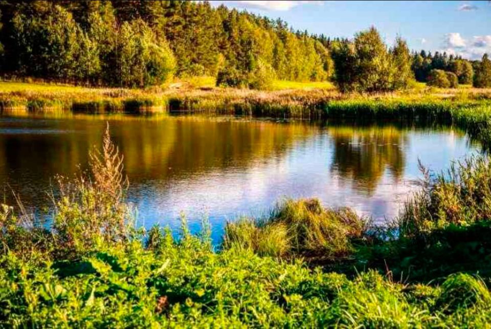 Евтихий Тихий: что нельзя делать 6 сентября