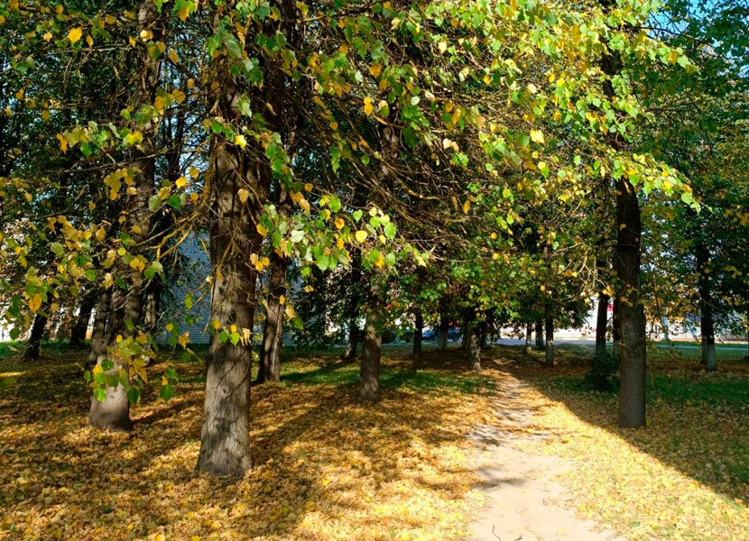 День Кондрата: что можно и нельзя делать 4 октября