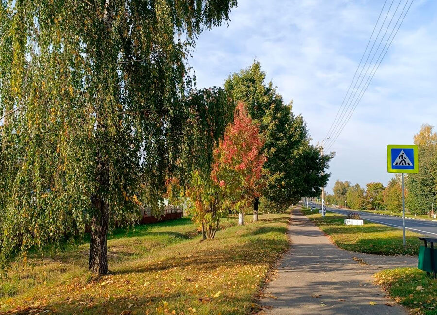 Погода 5 октября: оранжевый уровень опасности, сильный ветер и до +19 °С
