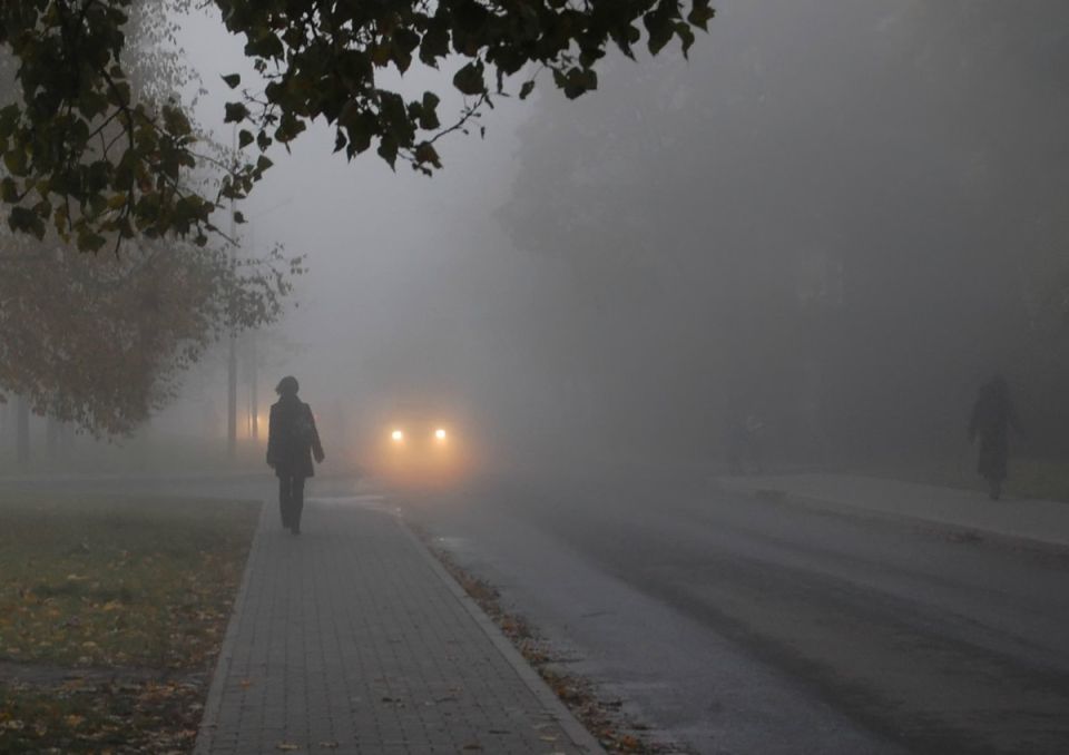 МЧС предупредило о факторах опасности в туман и гололед