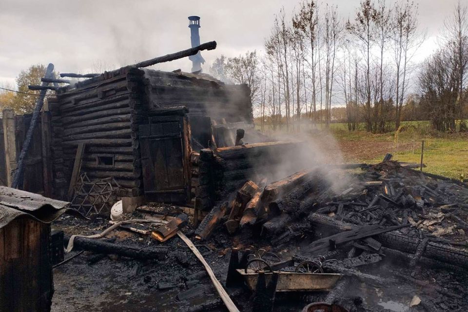 Пять человек погибли при пожарах в Беларуси за сутки