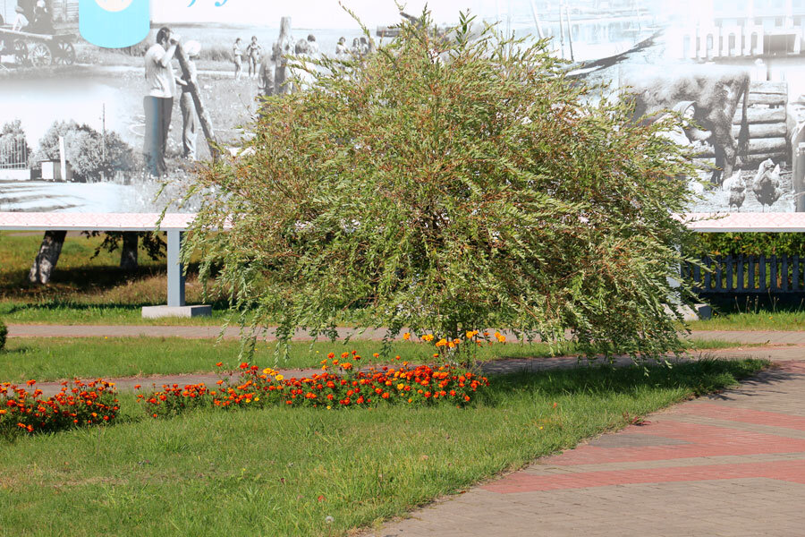 Трофимов день: что нельзя делать 2 октября, чтобы не лишиться денег